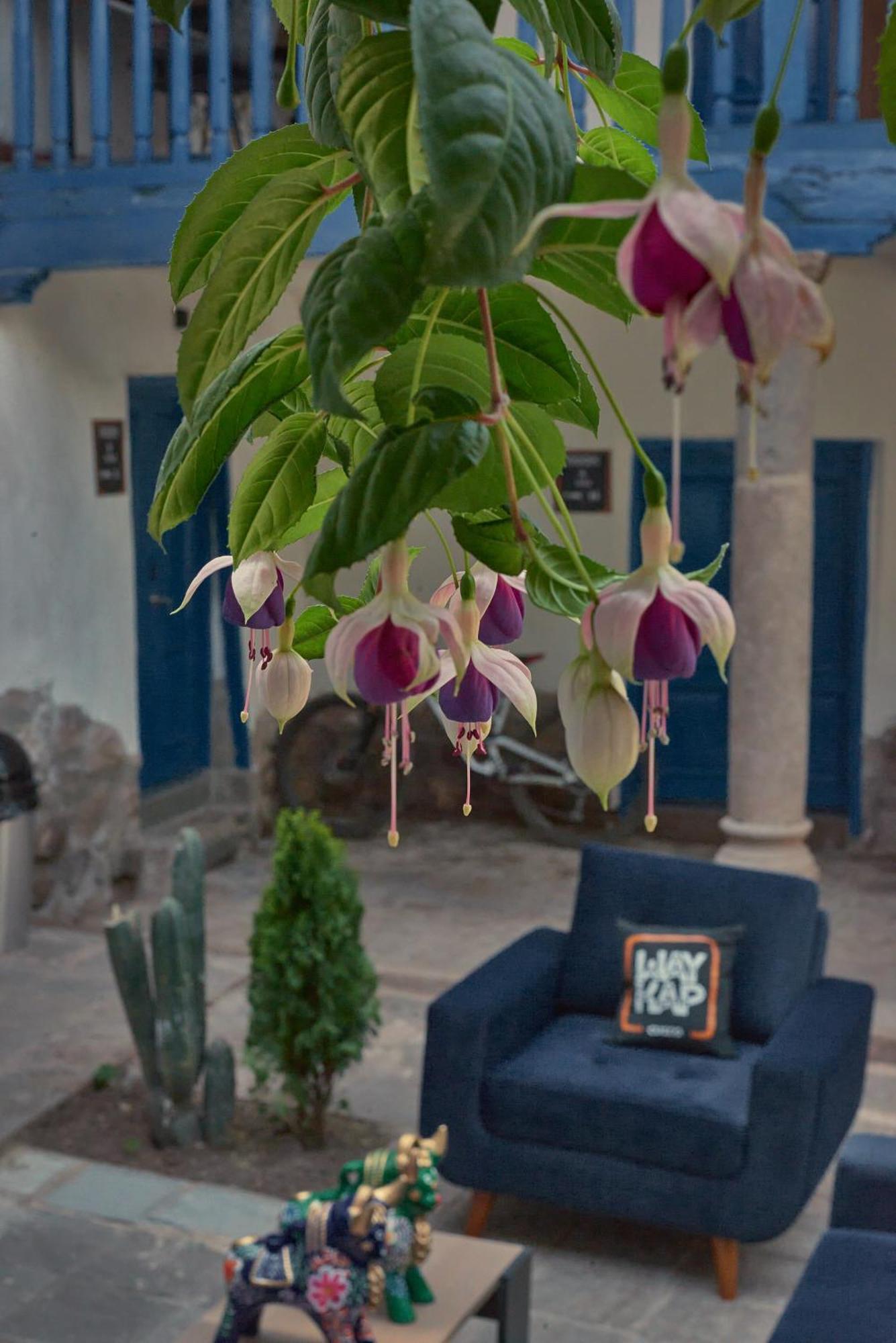 Way Kap Hostel Cuzco Esterno foto